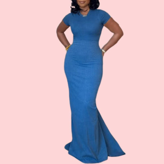 Blue Short Sleeve Bodysuit & Long Skirt Set